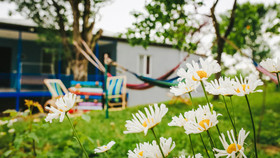 Bebo & Babu Guest House
