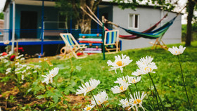 Bebo & Babu Guest House