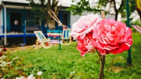 Bebo & Babu Guest House