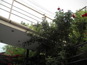 Cosmos Hostel