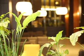 Fortune Palace Hotel