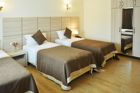 Hotel Gremi