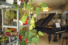 Hotel Kenari
