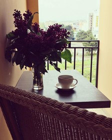 Hotel Nabadi
