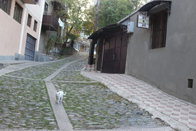 Old District Guest House