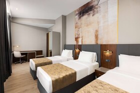 Tbilisi Chambers, Trademark Collection by Wyndham