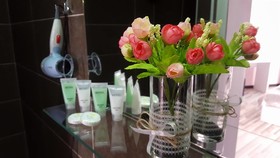 Tiflis Metekhi Hotel