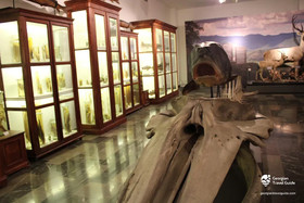 Tribu Express Hotel