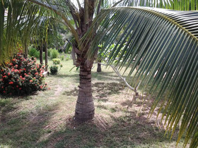 Barbara's Village