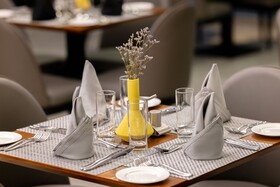 Alisa Hotel Tema