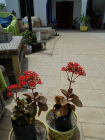 Camara Gardens Apartments