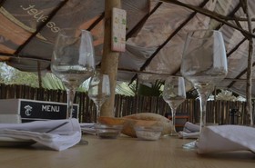 Tree C's Eco Resort & Beach Club