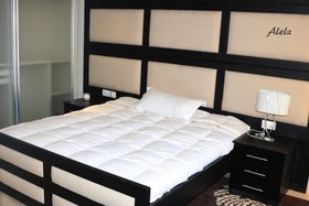 Forest View Apartments