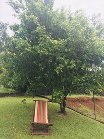 La Villa Kanda