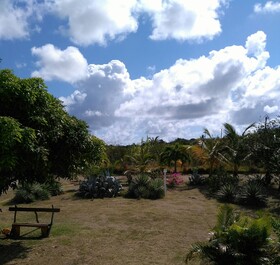 Villa Orquidéa