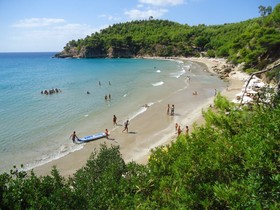 Alonissos Beach Bungalows & Suites Hotel