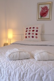 Paradise Art Hotel Andros