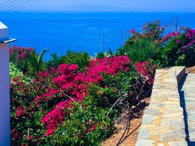 Andros Prive Suites
