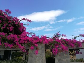 Periyali
