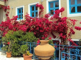 Agia Markella