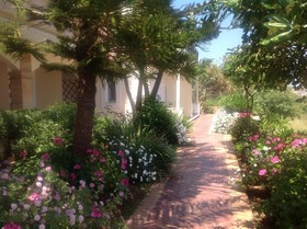 Venus Studios & Apartments