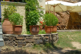 Zorbas Apartments