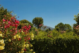 Nireas Resort Corfu