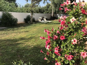Sirios Villas