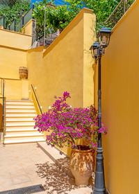 Corfu Secret