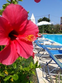 Elena Pool Apartments