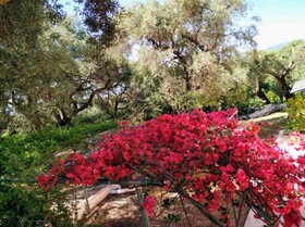 Villa Stefanos