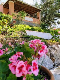 Villa Stefanos
