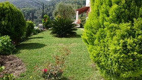 Roza Studios