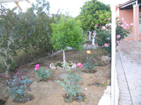 Effi House