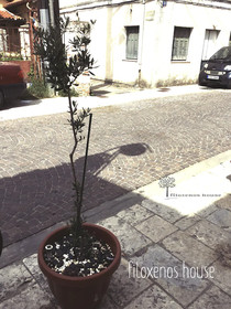 Filoxenos House