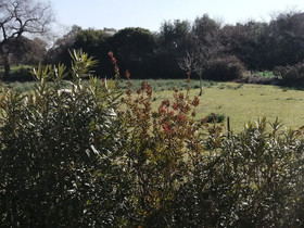 Helen's Family Home