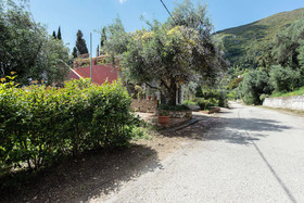 Lily's House