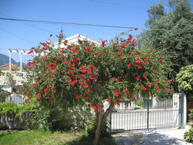 Maria Apartments