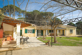 Pine Forest House by CorfuEscapes