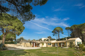 Pine Forest House by CorfuEscapes