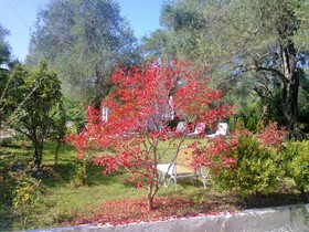 Marilena Apartments & Studios