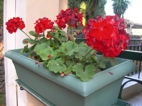 Villa Karmar Aparthotel