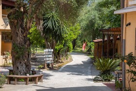 Wilde Rose Hotel