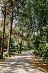 Corfu Holiday Palace