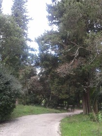 Garitsa Bay Apartment