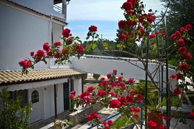 Katia Beach Hotel
