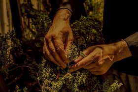 Ekati Mare Lifestyle Resort