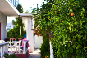 Seaside Hotel and Resort