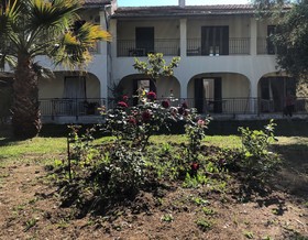 La Casa De Dalia