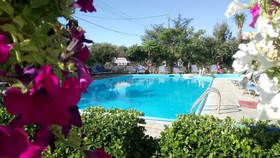 Flamingo Apartments